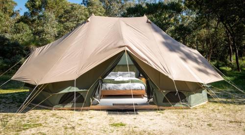 Tent