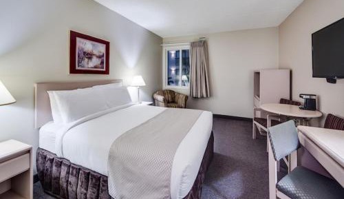Standard Queen Room