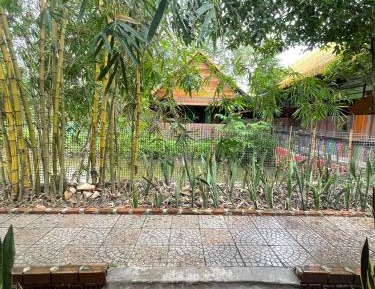Bungalow