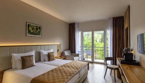 Superior Double Room with One Double Bed and Balcony