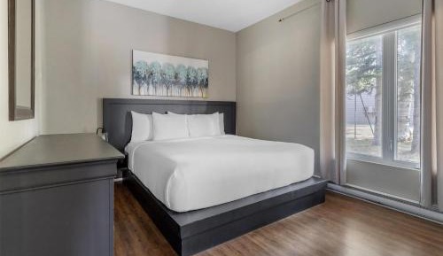 King Suite with Sofa Bed
