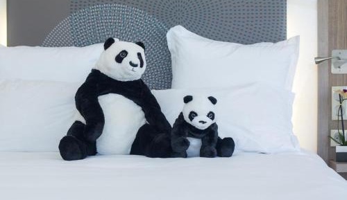 Standard Double Room with Sea or Park View