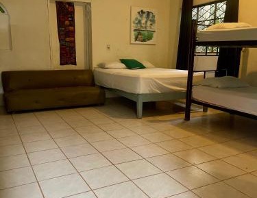 Bed in 8-Bed Dormitory Room