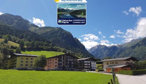 Studio with Mountain View