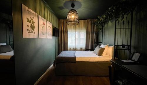 Single Room with Garden View