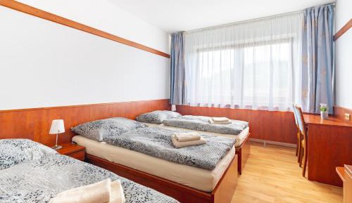 Double or Twin Room with Extra Bed