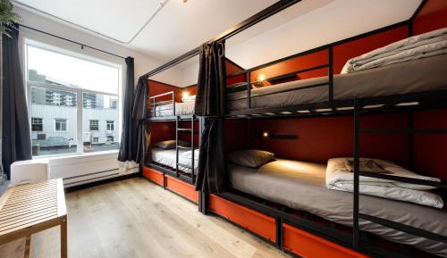 Bed in 4-Bed Dormitory Room
