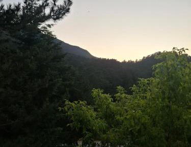Quadruple Room with Mountain View