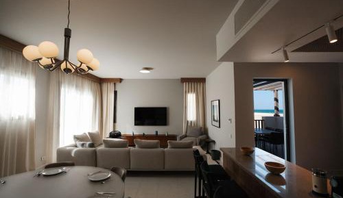 Penthouse Apartment
