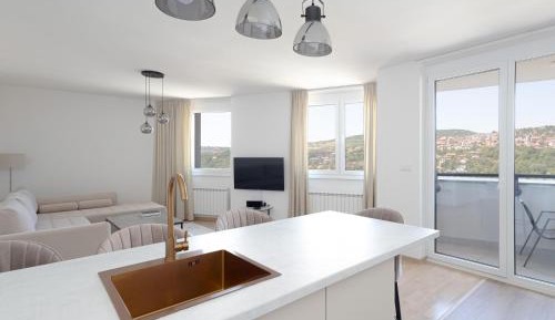 One-Bedroom Apartment with View