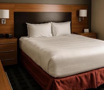 One-Bedroom Queen Suite with Sofa Bed