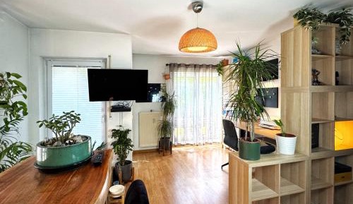 One-Bedroom Deluxe Apartment