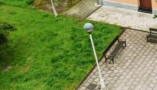 Apartment with Garden View