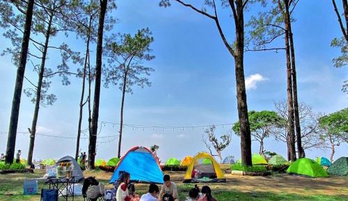 Camping Tent