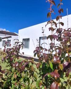 Apartment with Garden View
