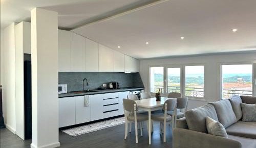 Penthouse Apartment
