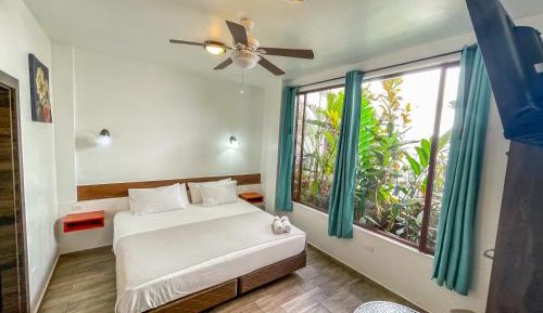 King Room with Spa Bath