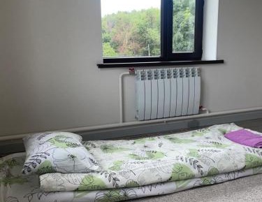 Budget Single Room