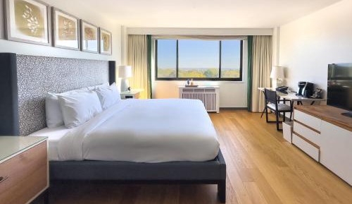King Room with Garden View