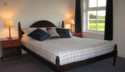 Room #187559802