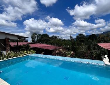 King Room with Pool View