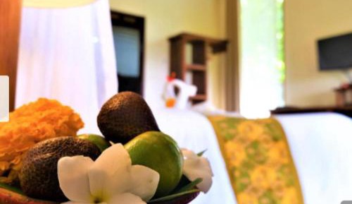 Double Room with Garden View