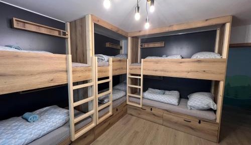 Bunk Bed in Mixed Dormitory Room
