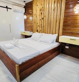 Deluxe One-Bedroom Apartment