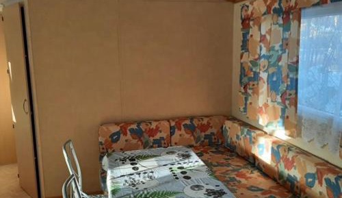 Mobile Home