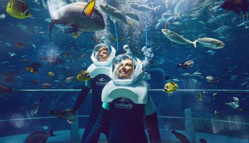Junior Suite - Yas Island Theme Park Access