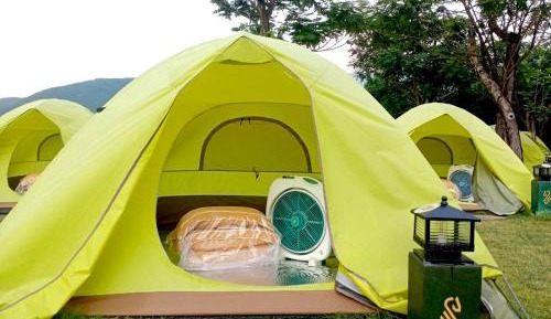 Mobile Home