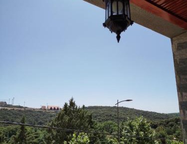 Two-Bedroom Apartment with View