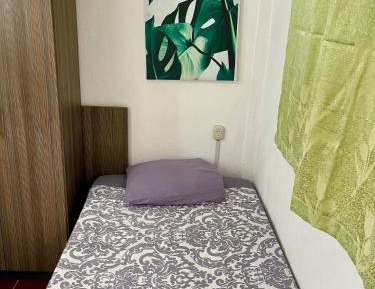 Double Room with Shared Bathroom