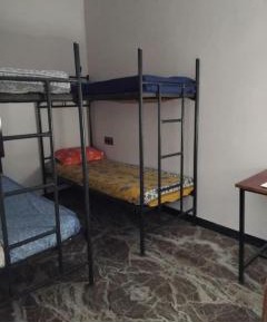 Bunk Bed in Mixed Dormitory Room