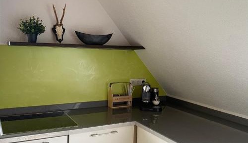 Two-Bedroom Apartment with Mountain View