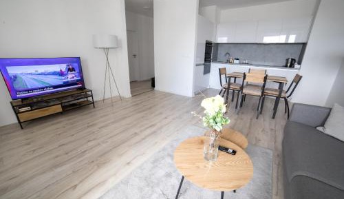 Deluxe One-Bedroom Apartment with City View