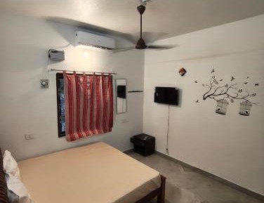 Budget Single Room