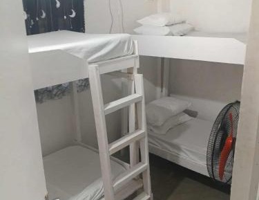4-Bed Mixed Dormitory Room