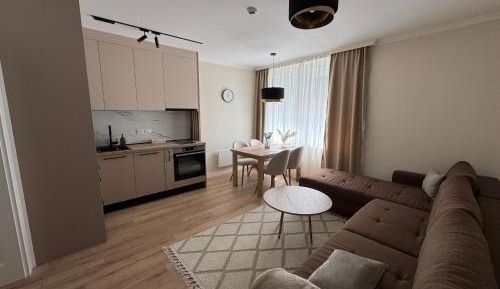 Deluxe One-Bedroom Apartment