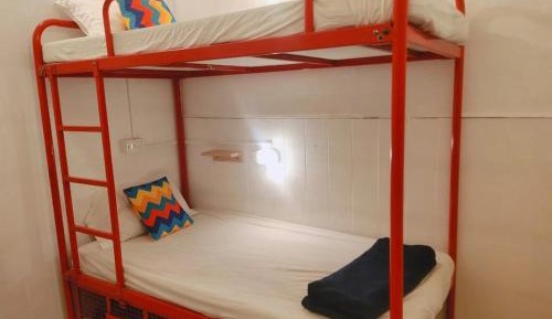 Bed in 4-Bed Mixed Dormitory Room
