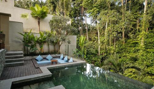 One Bedroom Infinity Pool Villa with Jungle View