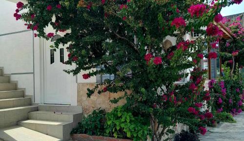Deluxe Double Room with Balcony and Sea View