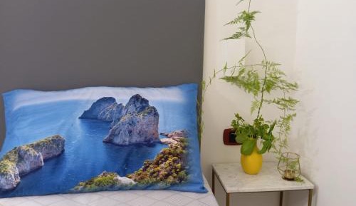 Double or Twin Room with Terrace