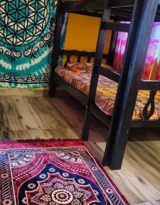 Bed in 4-Bed Female Dormitory Room