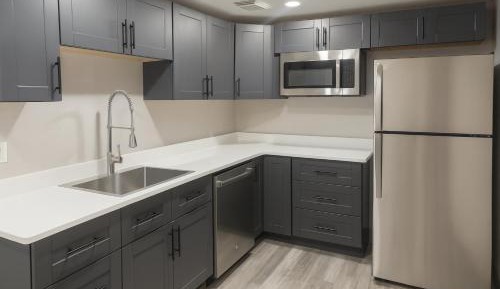 One-Bedroom King Suite with Kitchenette