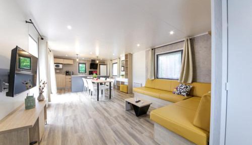 Mobile Home