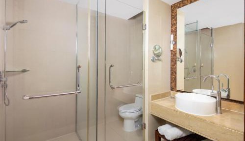 Premier Room,1 King Size Bed