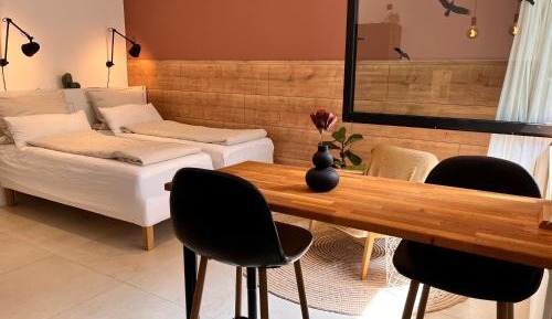 Studio with Terrace