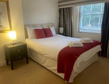 Deluxe One-Bedroom Apartment