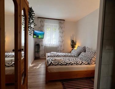 4-Bed Mixed Dormitory Room